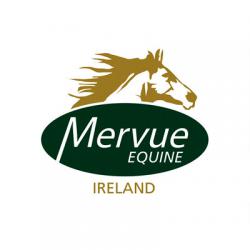 Mervue Equine