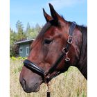 Equitare Elegant Rose Leather halter