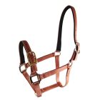 Star Tack Pro Biothane halter 25 mm with buckle on the nose