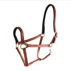 Star Tack Pro Biothane halter 19 mm without buckle on the nose