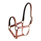 Star Tack Pro Biothane halter 25 mm without buckle on the nose