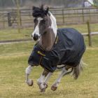 Bucas Irish Turnout Light 50 Classic