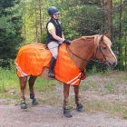 Equitare Hiviz Mesh exercise rug