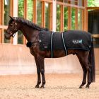 Waldhausen Health + Care TecSupreme heating and massage rug