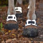 Flex Hoof Boots Neoprene Gaiter reflective pc