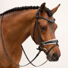 Equestrian Stockholm Faded 6mm Browband