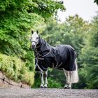 Horseware Amigo 1200D Plus 100 g turnout rug