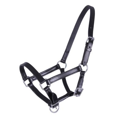 QHP Chico leather foal halter