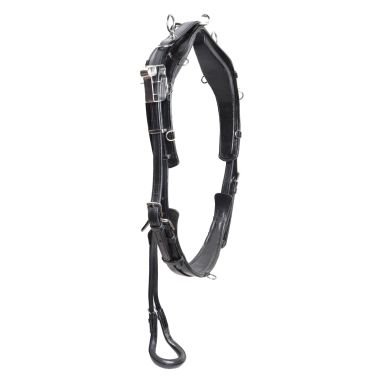GP-Tack Harness complete training QH leather