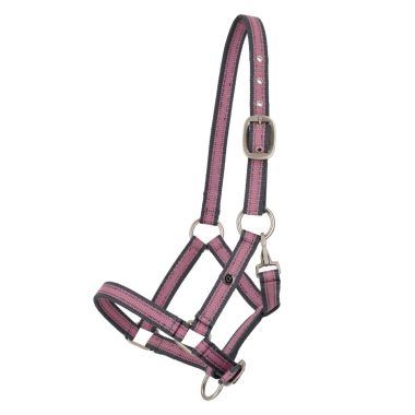 QHP Collection foal halter 