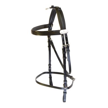 Star Tack Bridle synthetic