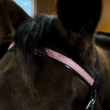 Star Tack Glamour Browband