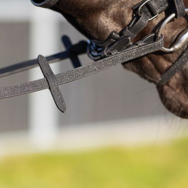 QHP Glitter Web reins