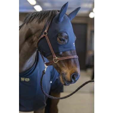 Wahlsten Healing Titanium Mask with ears