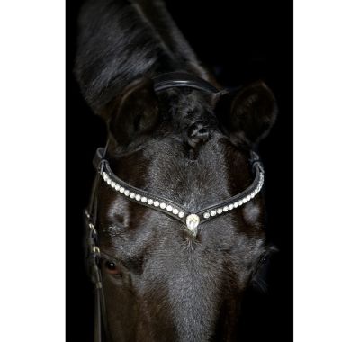 HG Palmdale browband