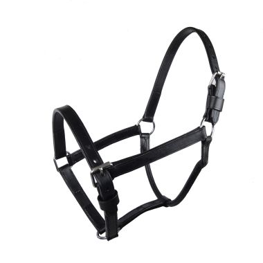 GP-Tack Leather halter 1" with buckle on nose