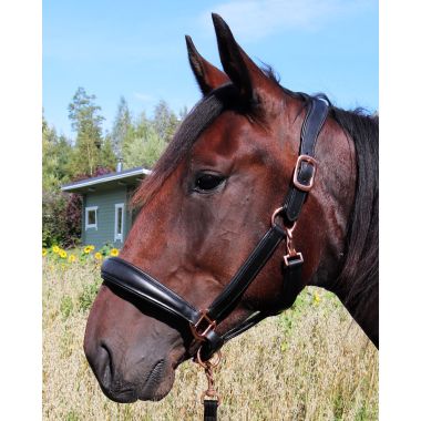 Equitare Elegant Rose Leather halter