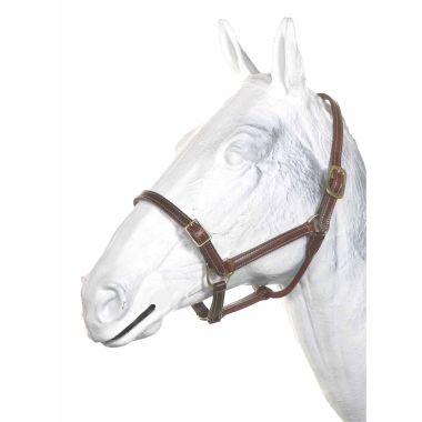 Walsh Leather halter 3/4" with buckle on the nose 20 mm