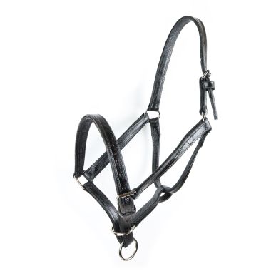 Kalle Leather halter 3/4" with buckle on the nose 25 mm