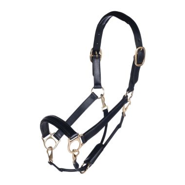HKM Gold Leather head collar