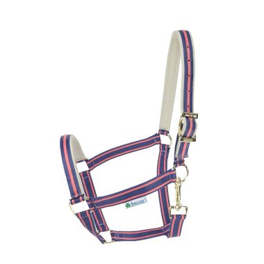 Bucas Dublin Foal Nylon halter