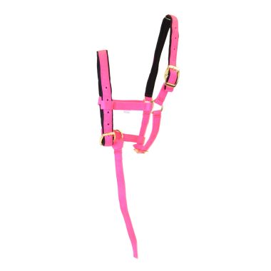 Equitare Pro Nylon halter foal size