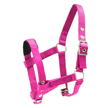 Equitare Pro Nylon halter Mini