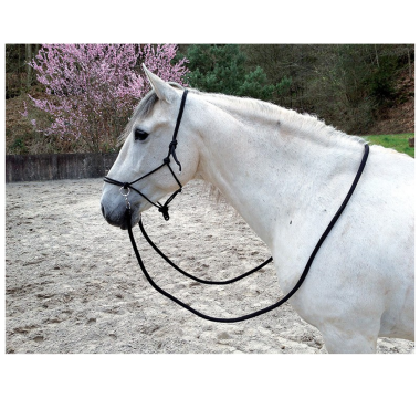 Ethological rope halter with reins