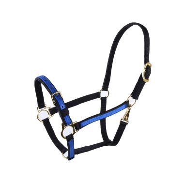 Equitare Pro Nylon halter 3/4" 2-coloured with buckle on nose