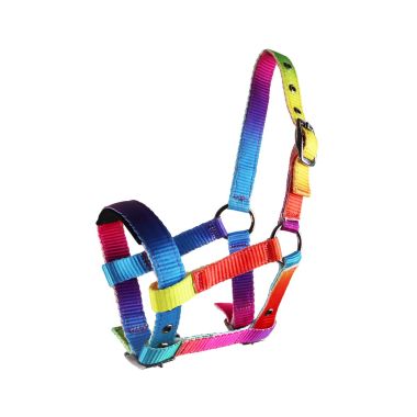 Equitare Multicolor mini halter