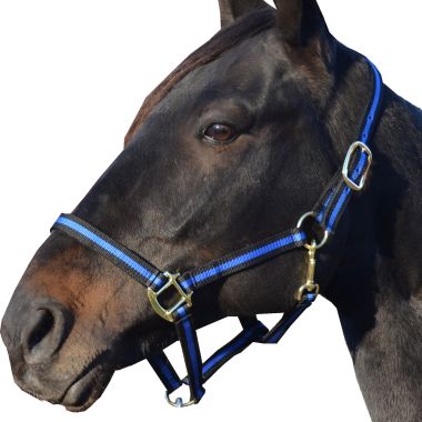 Equitare Retro Nylon halter 1" without buckle on the nose