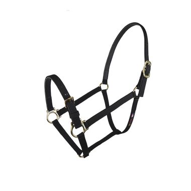 Walsh Nylon halter 3/4" 1-color with buckle on nose