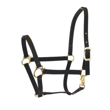 Walsh Nylon halter 3/4" 1-color without buckle on nose
