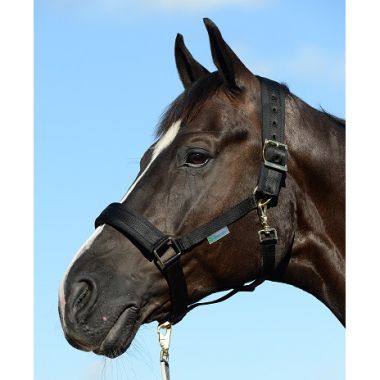 Bucas Comfort Nylon halter