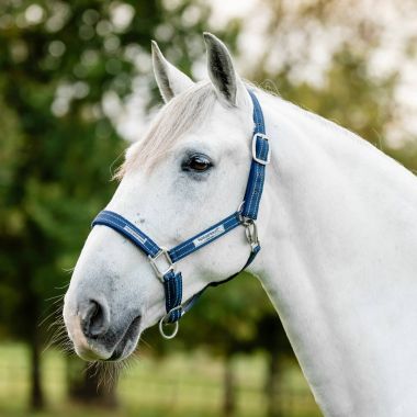 Horseware Field Safe Halter