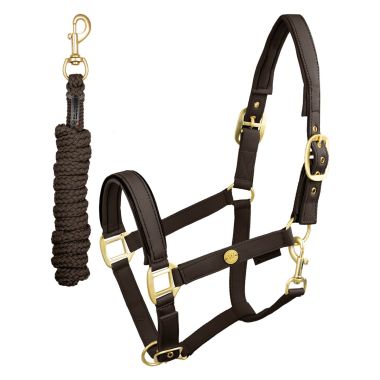 Waldhausen Ubud halter and leadrope
