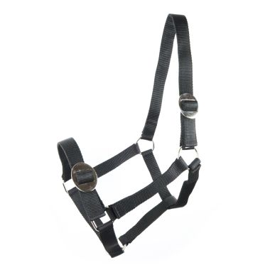 Equitare Halter with sliding buckles
