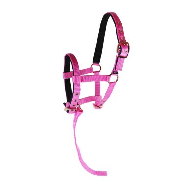 Equitare Nylon halter foal size