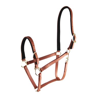 Star Tack Pro Biothane halter 19 mm with buckle on the nose