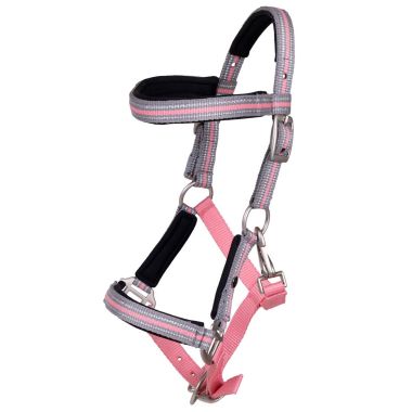 QHP Flore foal halter with browband