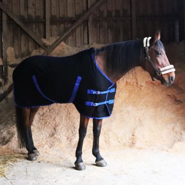 Best on Horse Woolen rug, pc