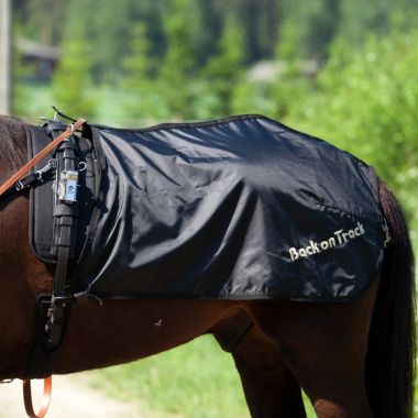 Back On Track Quarter sheet trotting