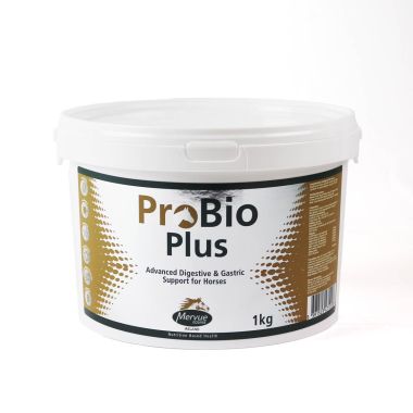 Mervue Equine ProBio Plus powder 1 kg