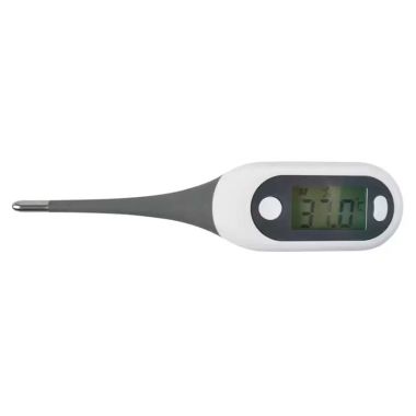 Eclipse Thermometer, large display