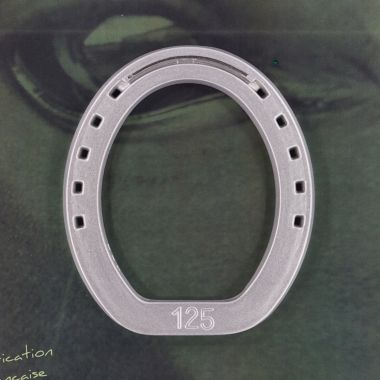 Deltacast Aluminium shoe ring hind