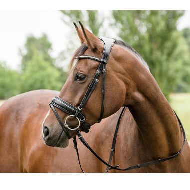 Horse Guard Ergo Bridle pullback
