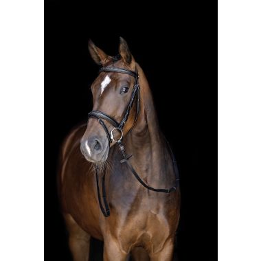 HKM Jana Bridle
