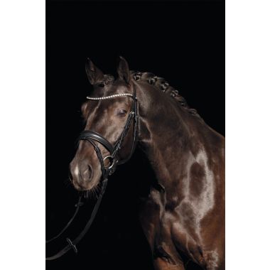 HKM Bella bridle