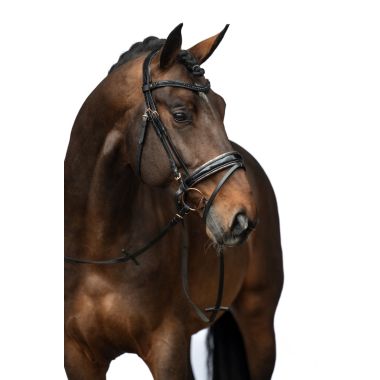 HKM Sofia Bridle