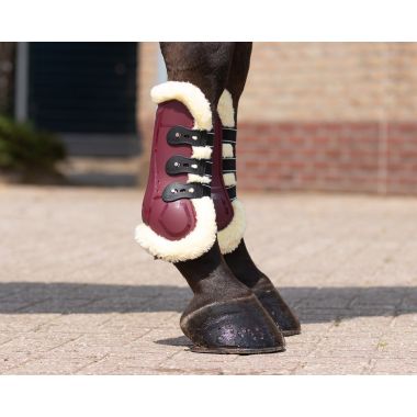 QHP Ontario tendon boots pair